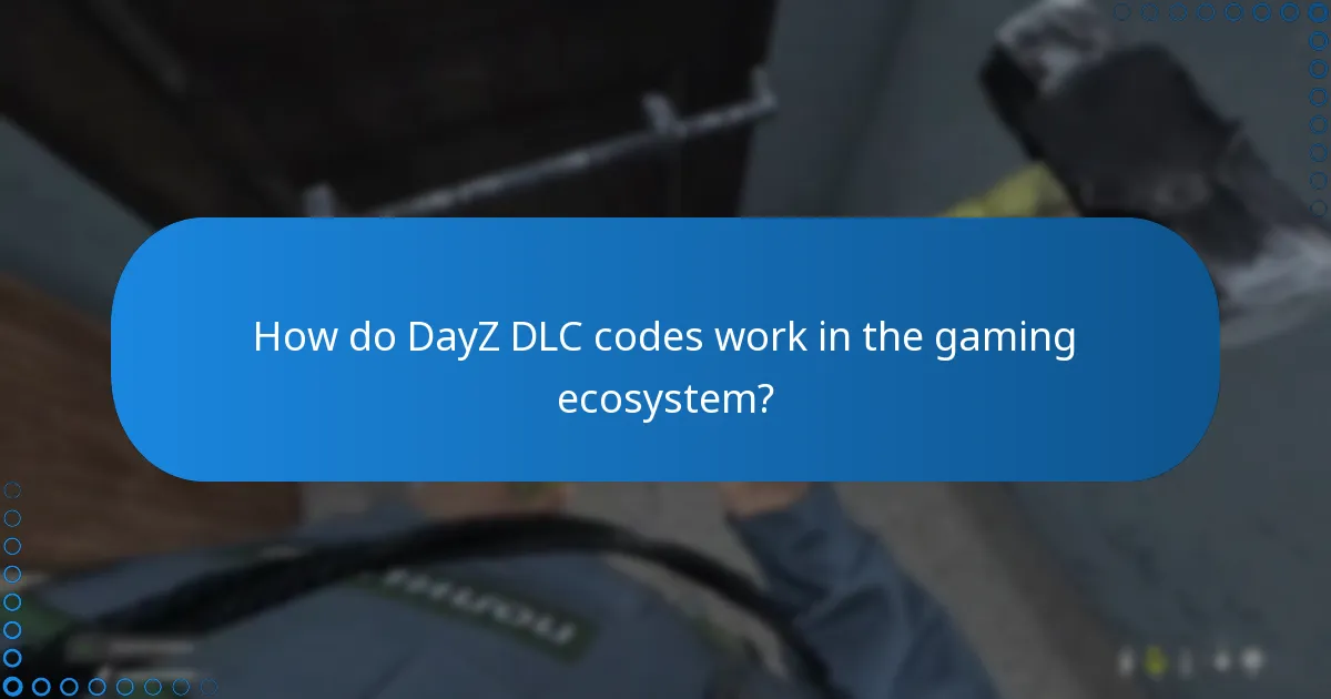How do DayZ DLC codes work in the gaming ecosystem?