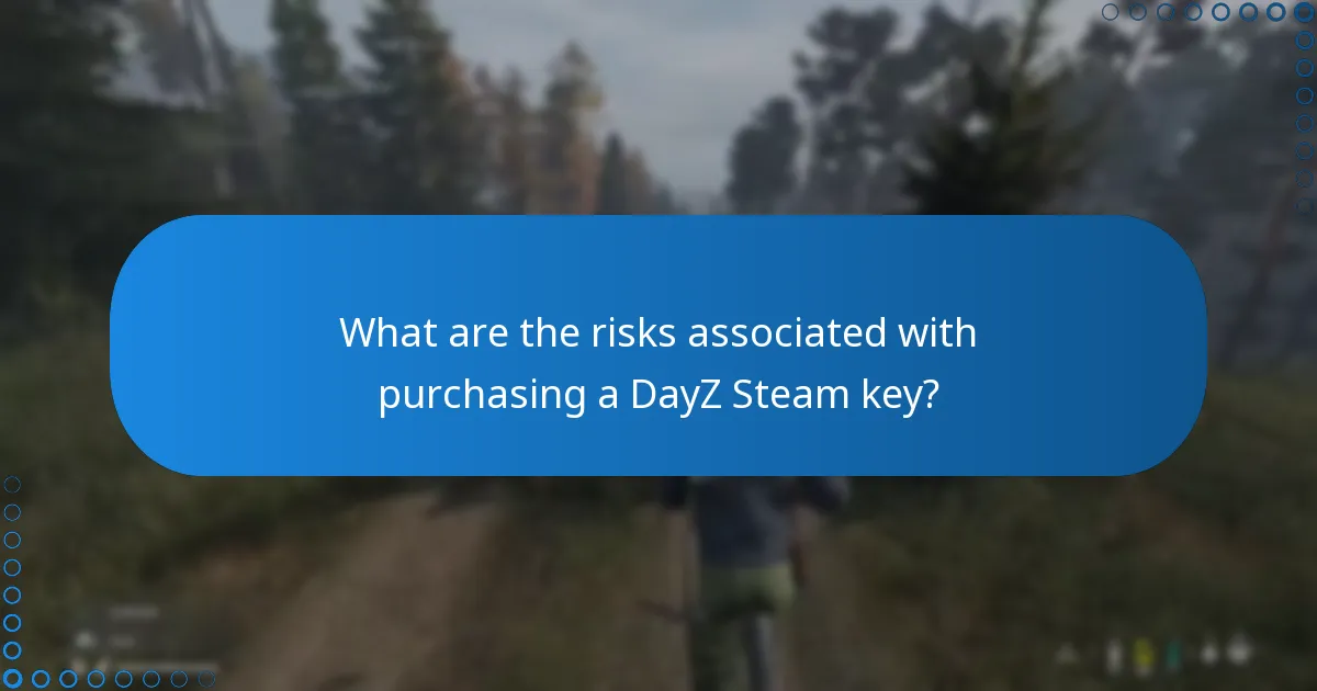 What are the risks associated with purchasing a DayZ Steam key?