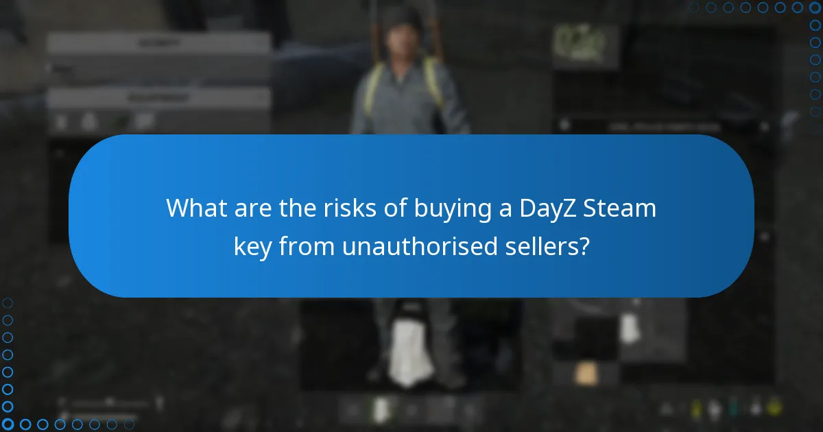 What are the risks of buying a DayZ Steam key from unauthorised sellers?