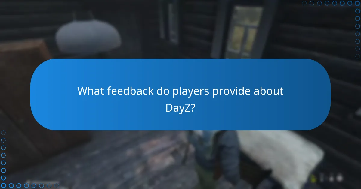 What feedback do players provide about DayZ?