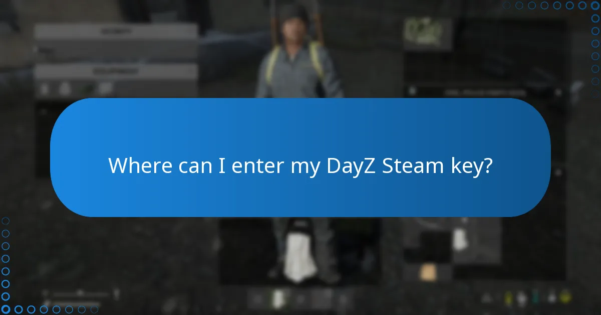 Where can I enter my DayZ Steam key?